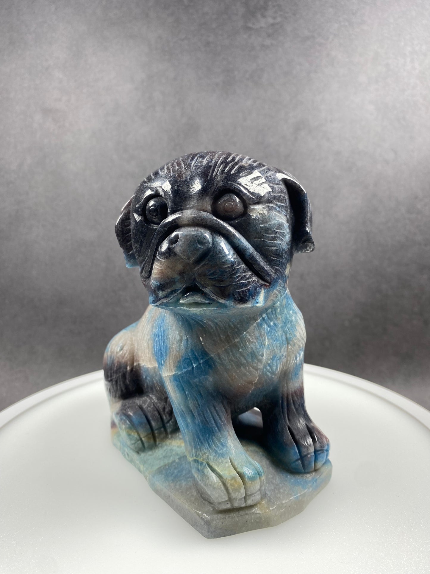 Trolleite Pug
