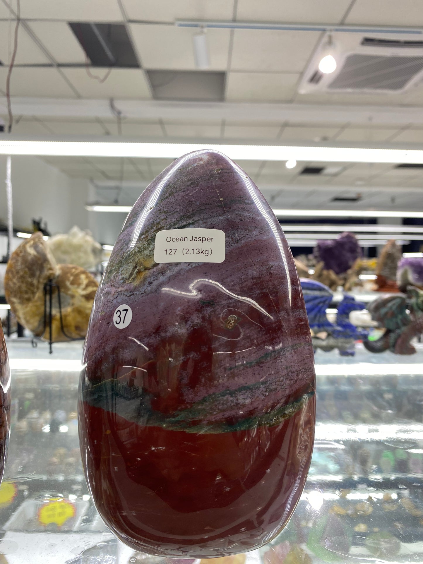 Ocean Jasper Decor
