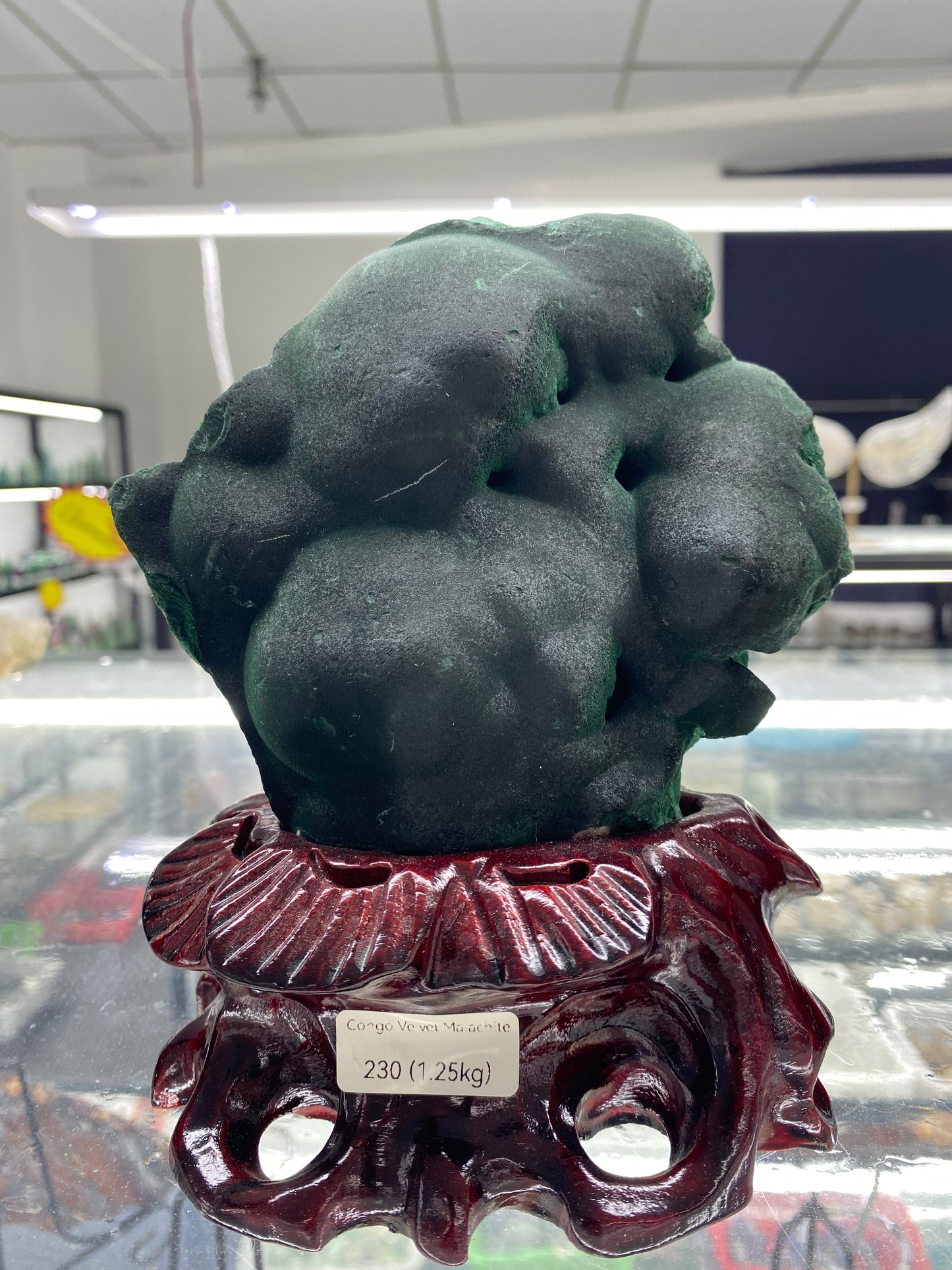 Congo Velvet Malachite with Wooden Stand