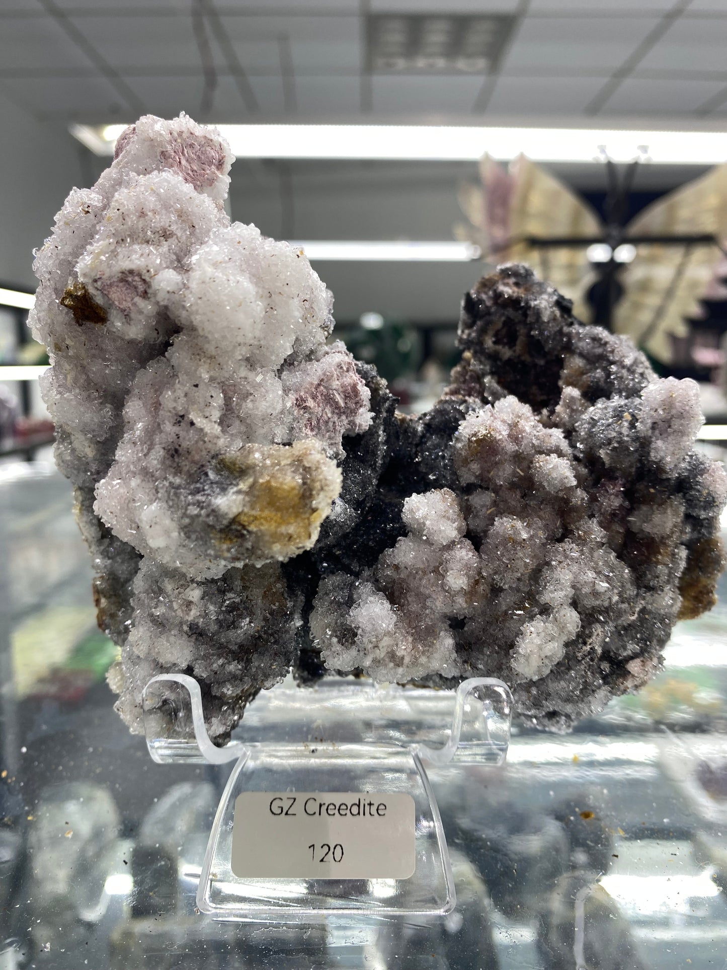 Guangzhou Creedite Raw
