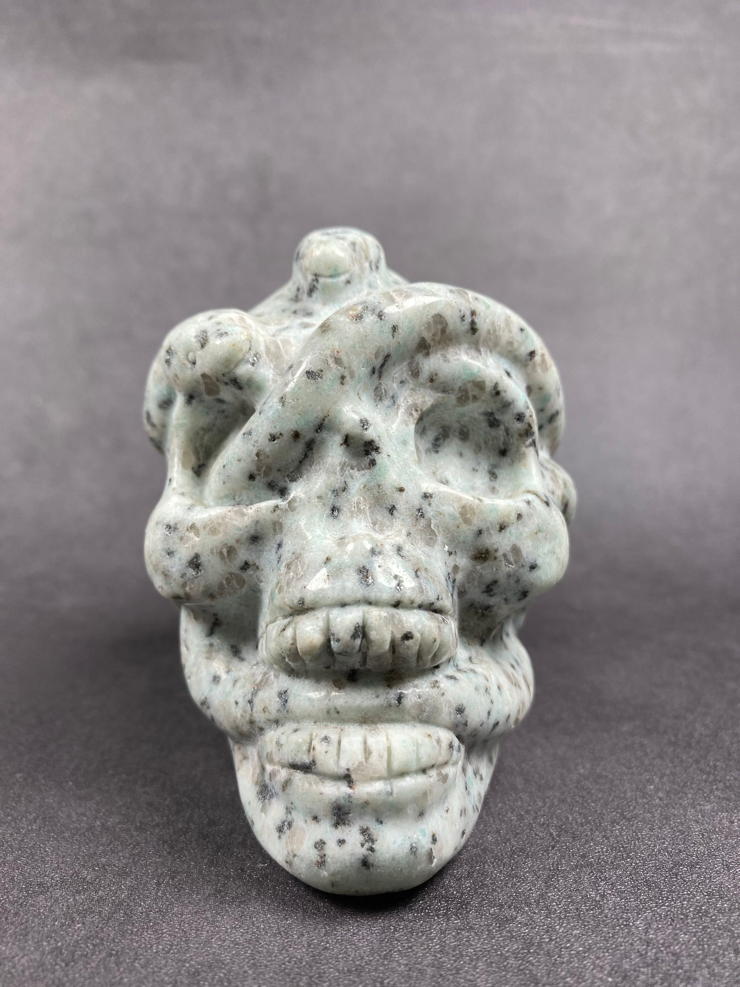 Skull With Snake Carving