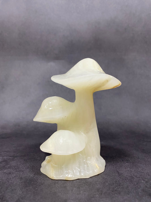 Tall Mushroom Carving
