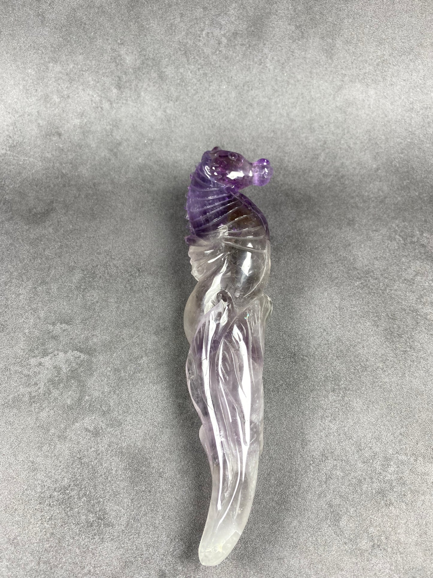 Big Seahorse Carving