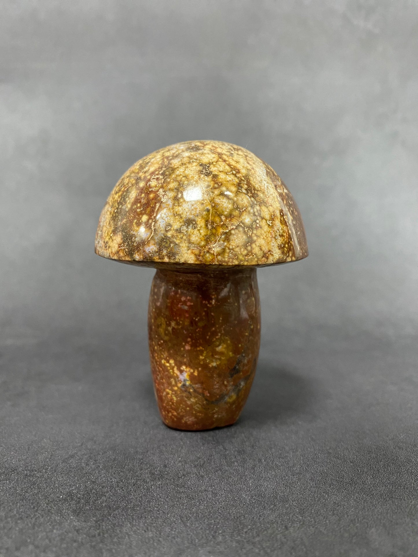Ocean Jasper Mushroom