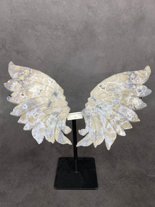 Blue Flower Agate Wing