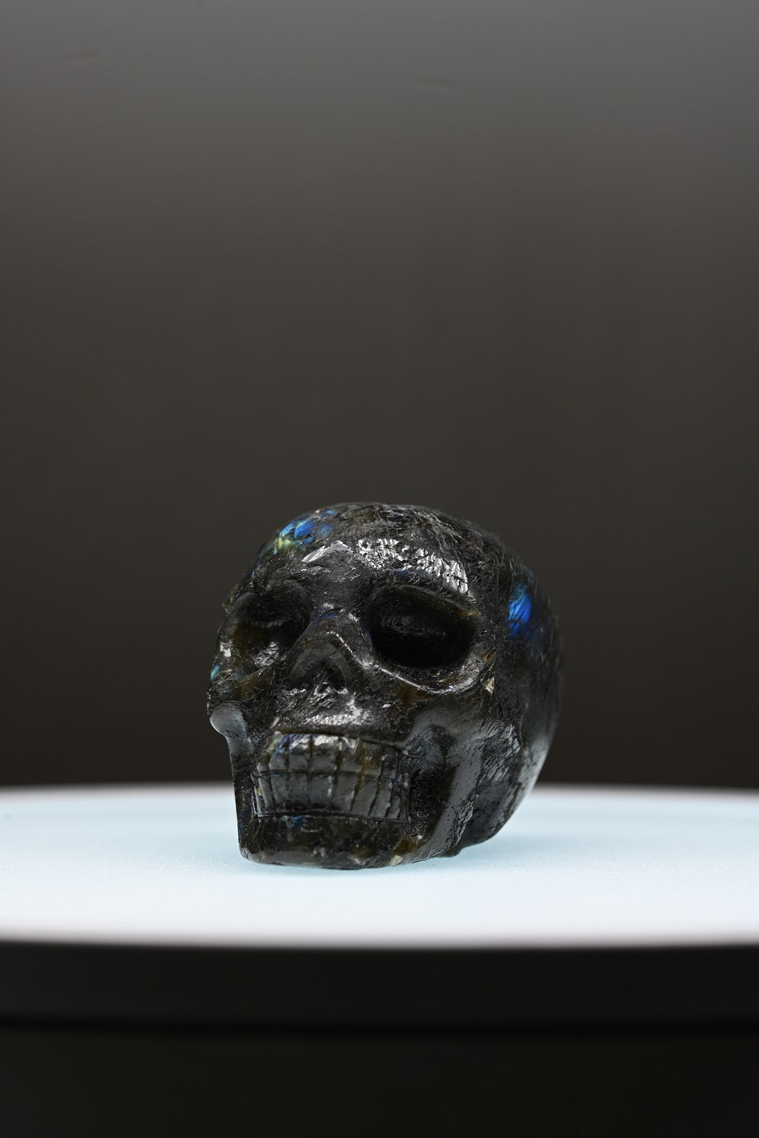 Crâne de labradorite @CeeportCrystal